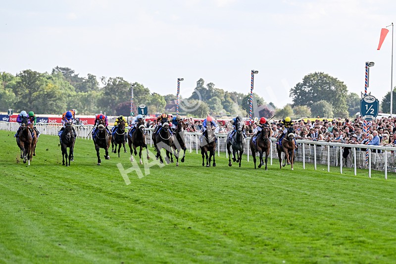 220826-Race 5-Sondad-1057 - Race 5 16.10pm Sky Bet Constantine Handicap