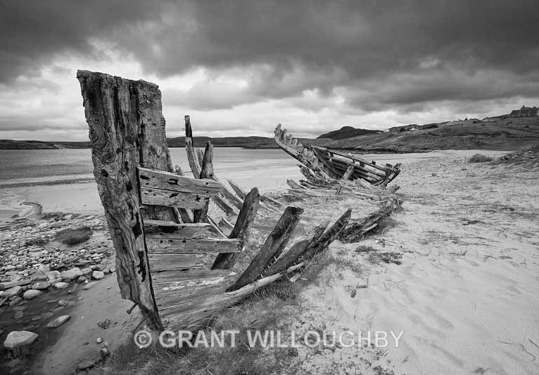 Beauty of decay - Monochrome
