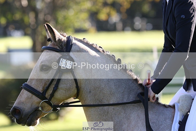 231022-094941-24138 - 661-MYSHALL.ROBBY-Poppy.Turriff-TrotUp+SJ