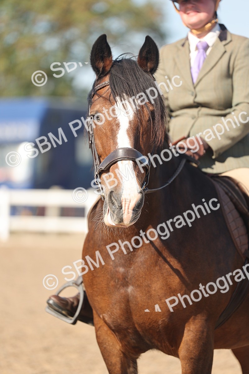 SBM_12385 - Class 304 - Ridden part Bred Horse Pony