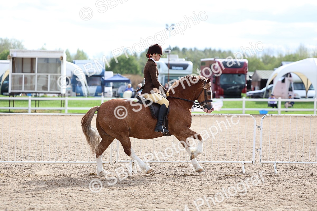 SBM_17531