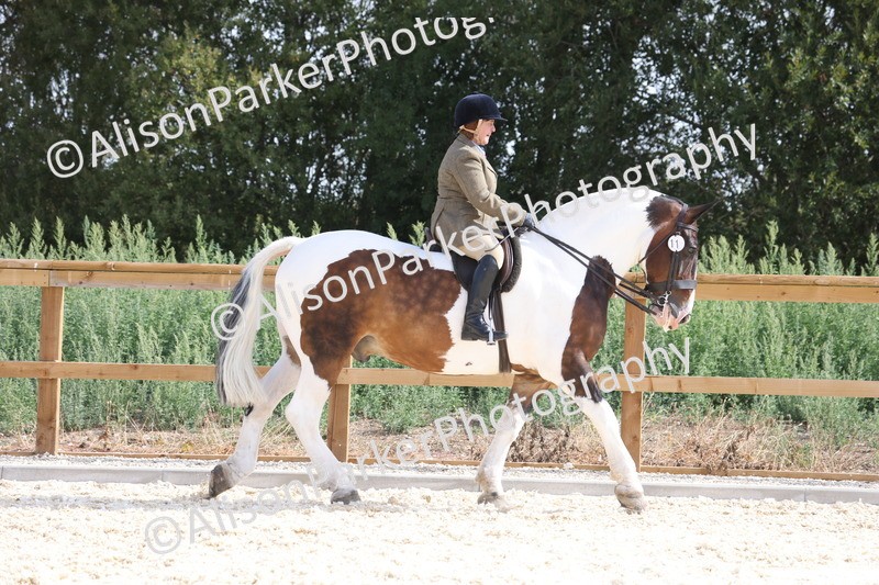 20260802-0393 - Class 6 - Veteran Ridden