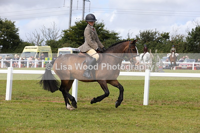 1X9A3982 - Class 32: Show Hunter Pony 153cm and under