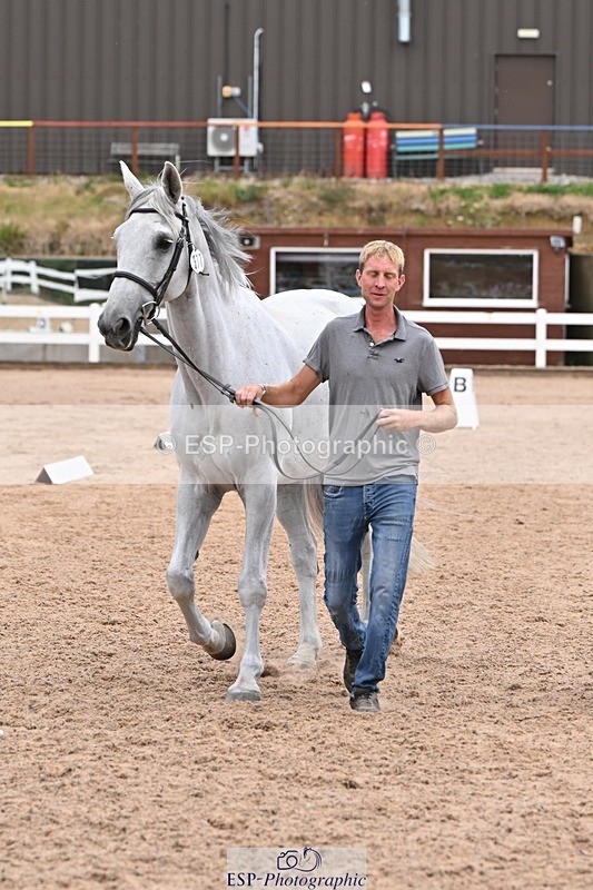 250716-143133-01173 - Trot Up 2.30 to 3.30