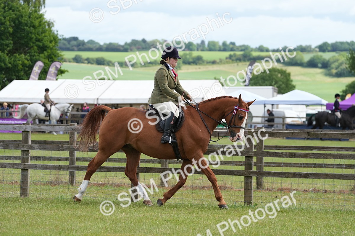 SBM_12918 - Class 99 - RIHS SEIB Working Show Horse