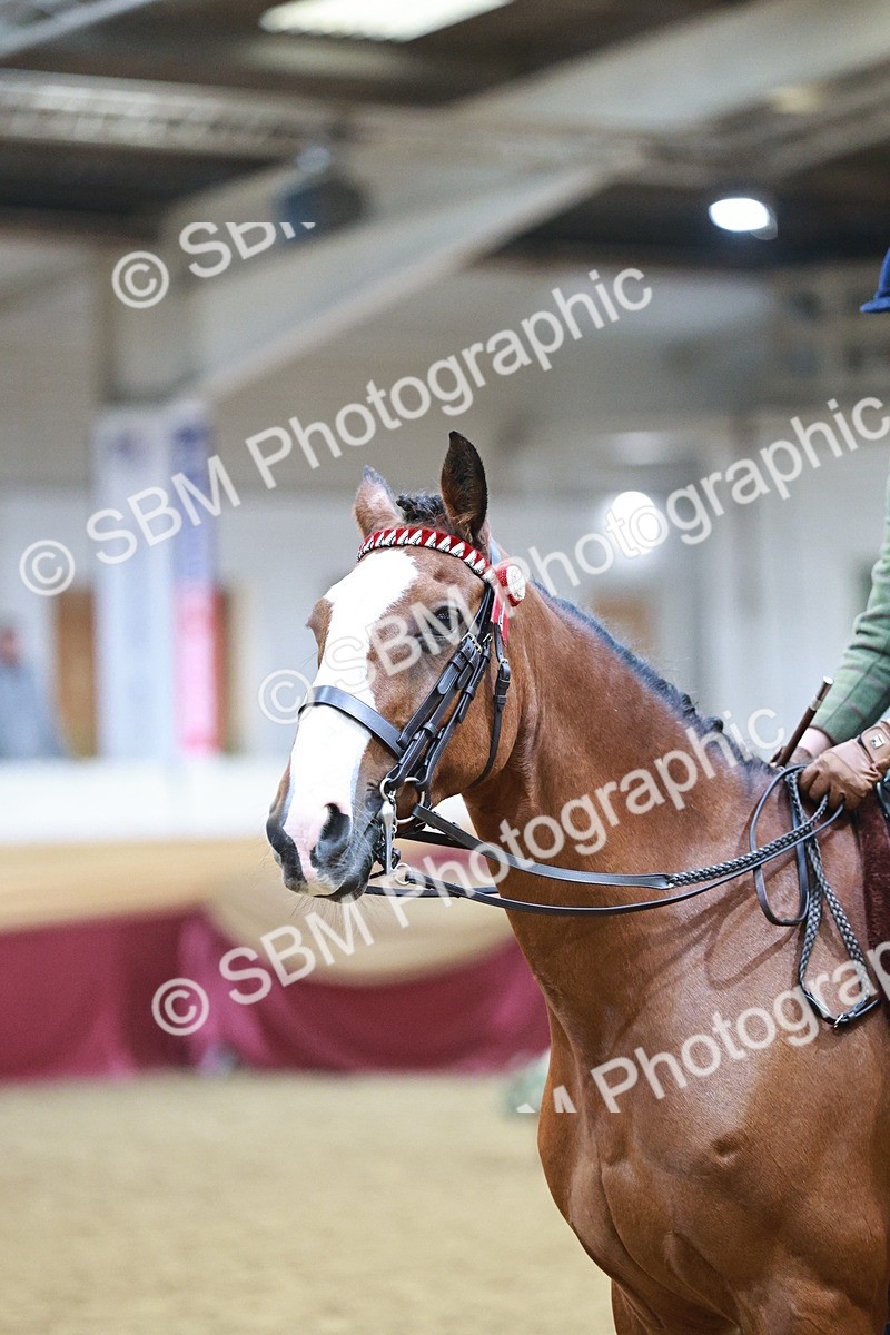 SBM_09048 - Class 12R - Regional Ridden Pre-Vet