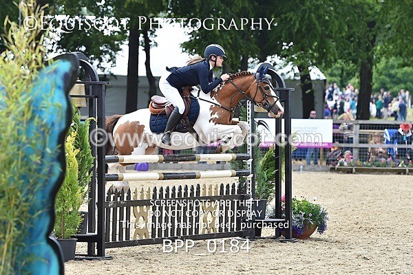 BPP_0184 - RHS 2019 Selection - *Just some random spectator shots so Lucky Dip if you are there!