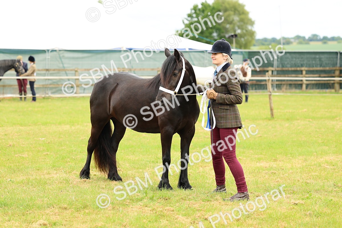 SBM_00615 - Class 58-67 - M&M Non Welsh Pony In hand