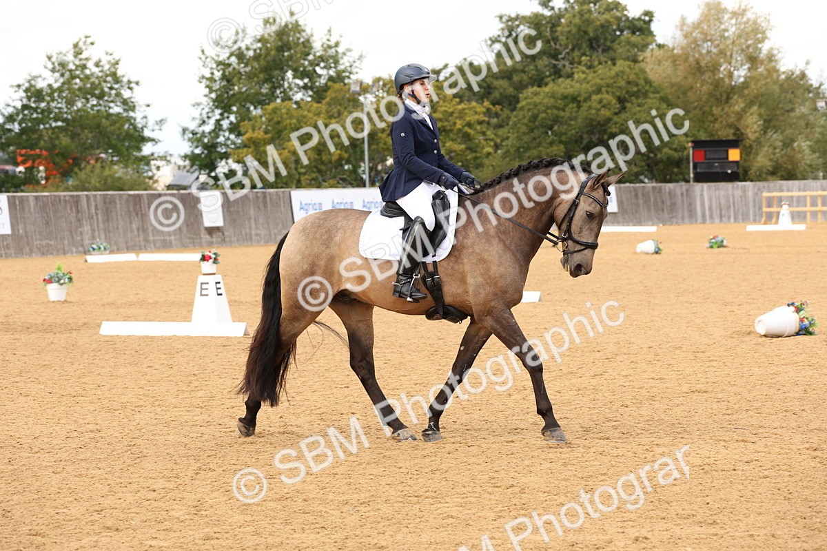 SBM_26905 - D17 - Grand Tour Championship Novice 3