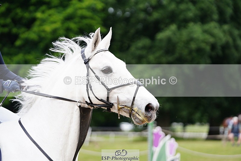 250615A-084222-09689 - Class 42 85cm Amateur Qualifer