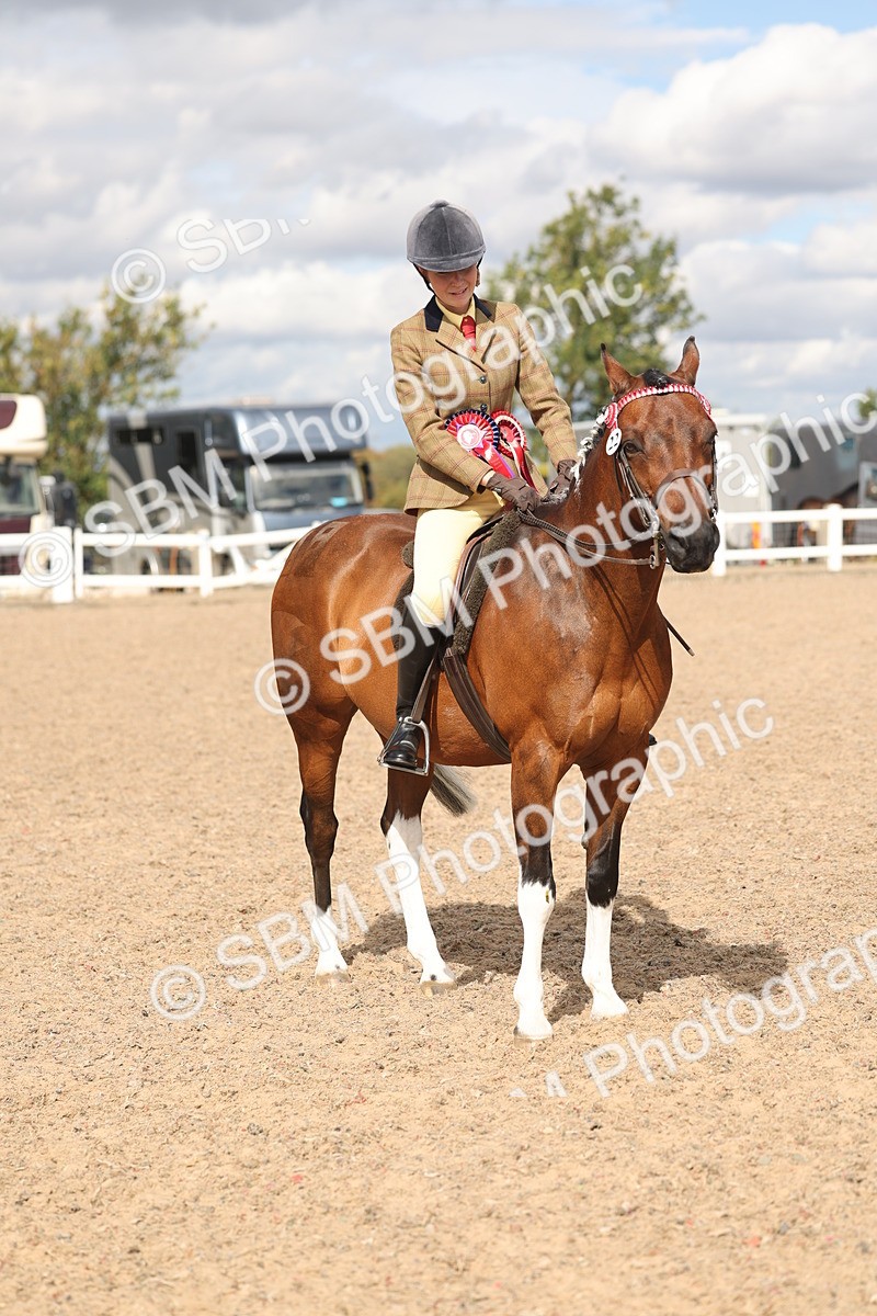 SBM_14683 - Class 307 - Ridden Coloured Pony