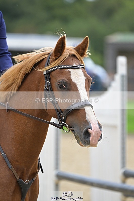 240929-123522-00678 - Cls 2 80-85cm 12.15 to End