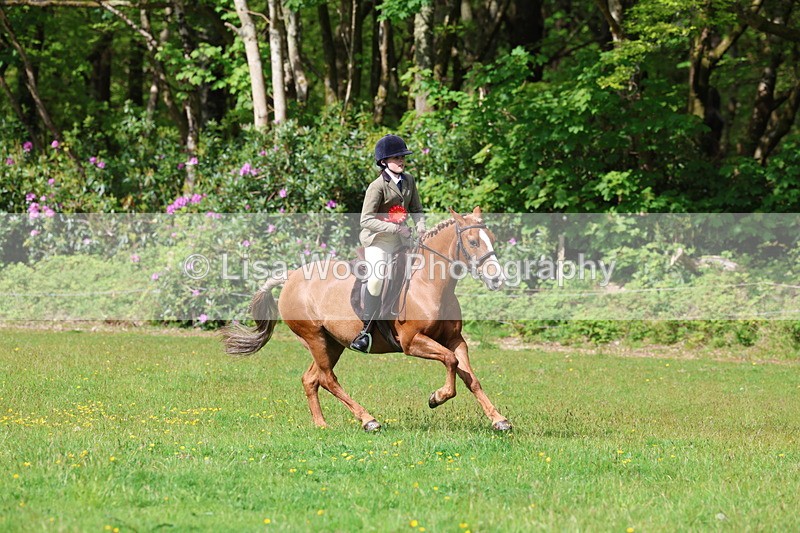 3E7A2676 - Working Hunter Championship
