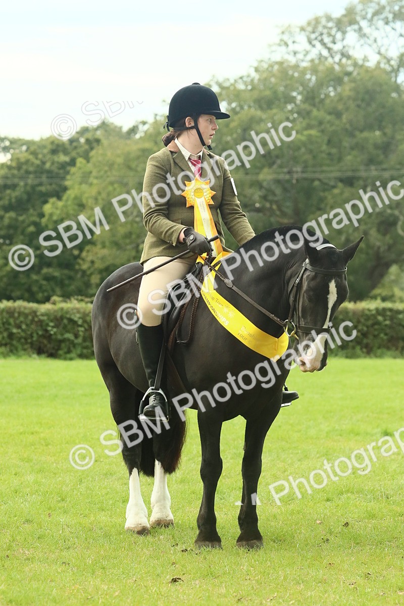 SBM_75055 - Ridden Pony Supreme Championship
