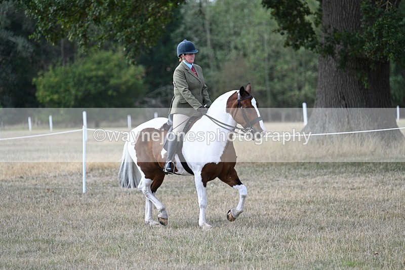 WJ7_6835 - Class 14 Ridden Coloured