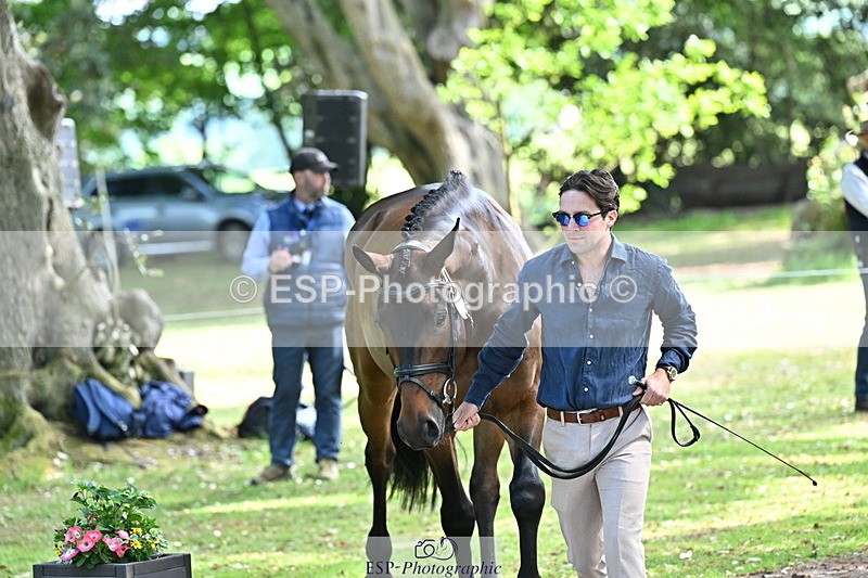 250521A-153355-00592 - B-317-Rupert.Batting-COOMBELAND.TALISMAN
