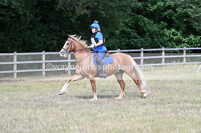 WJ7_0611 - 40cm Time 12:10 to 12:20