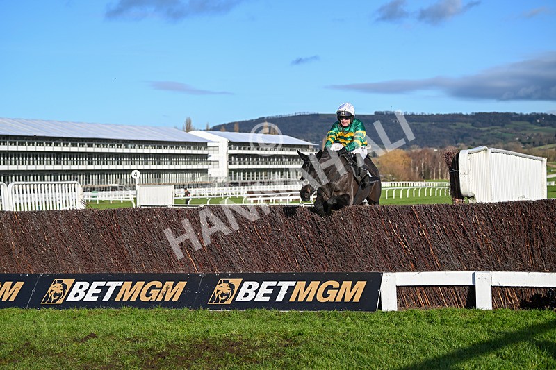 141224-Race 3-Trapista-1732 - Race 3