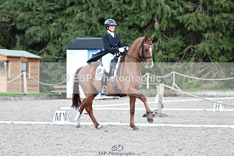 231110-163937-02709 - Cls 14 FEI Grand Prix