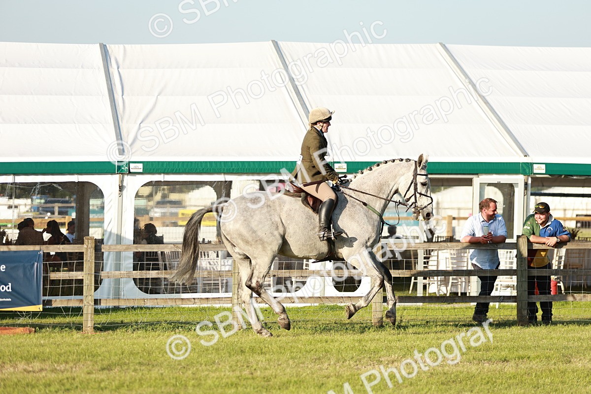 SBM_20468 - Class 117-119 - Sport Horse Working Hunter