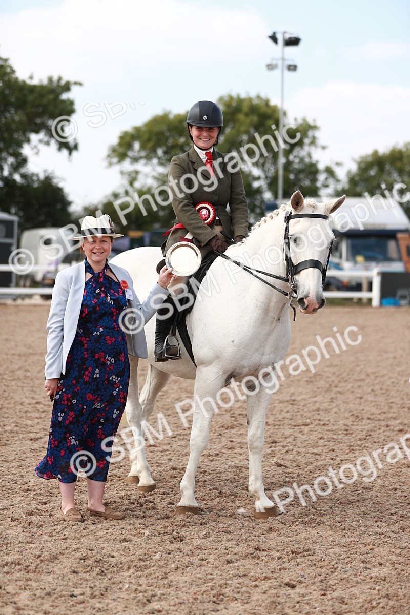 SBM_14917 - Class 212 Ridden Hunter - Small