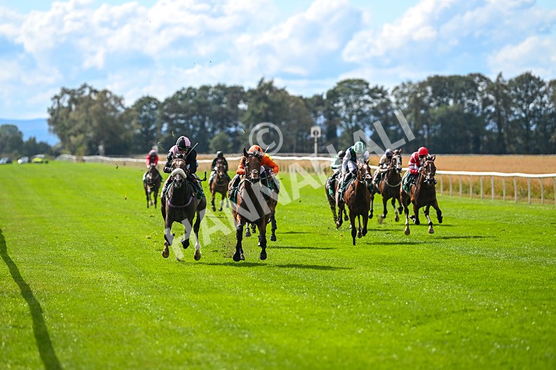 290825-Race 3-Be The Standard-8572 - Race 3