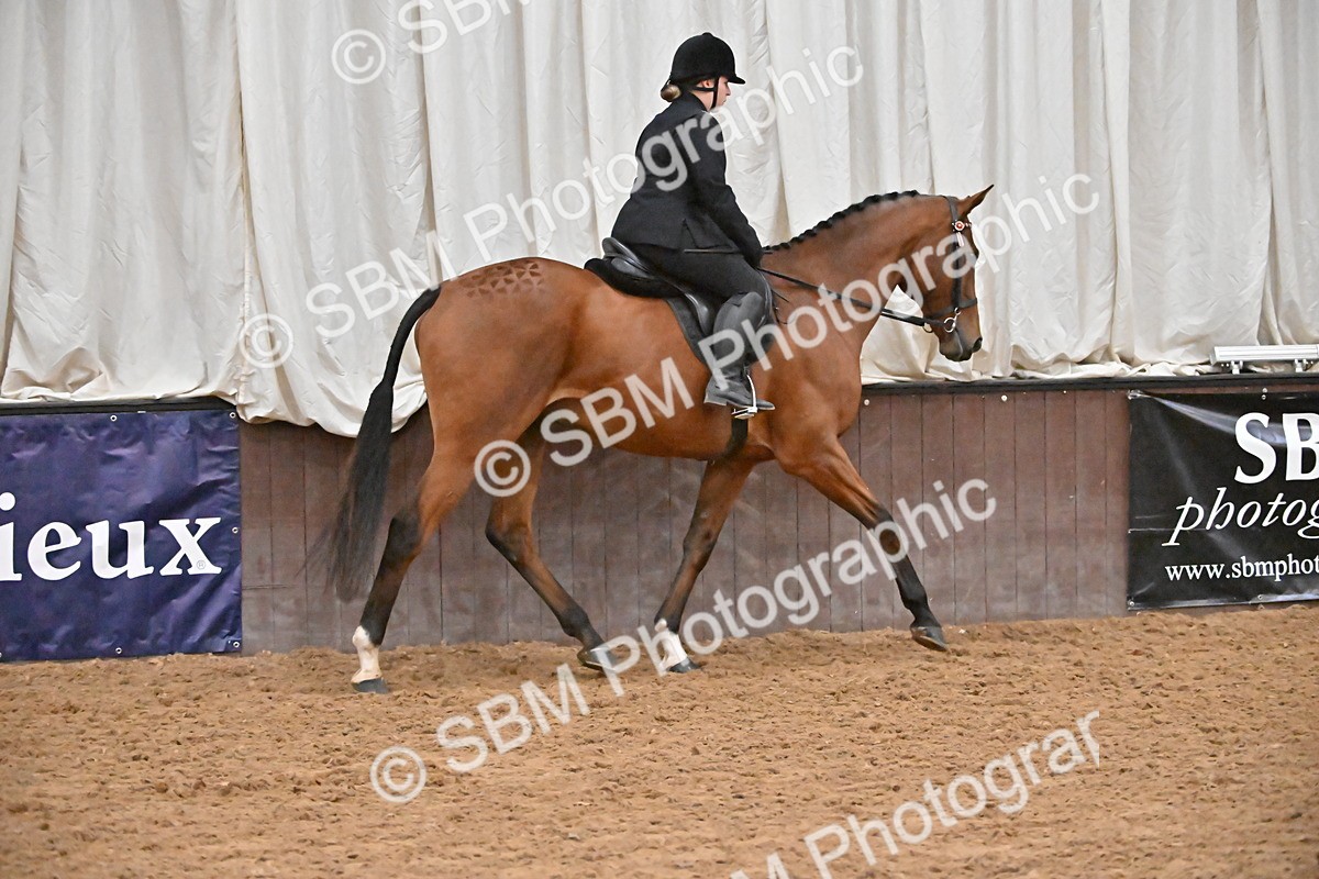 SBM_002995 - Class 37,38 - UKPSAF Performance Horse & Pony