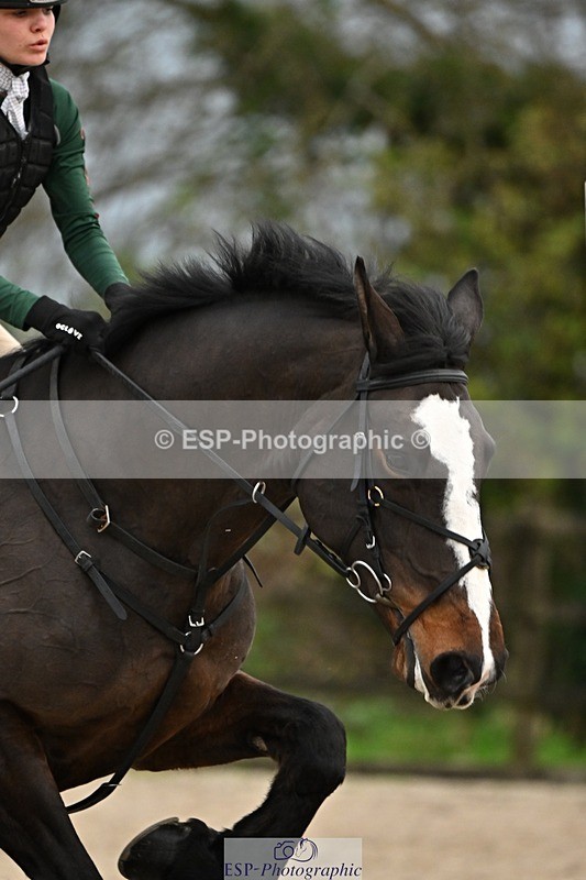 241110-153949-01289 - 80-85cm Arena Eventing