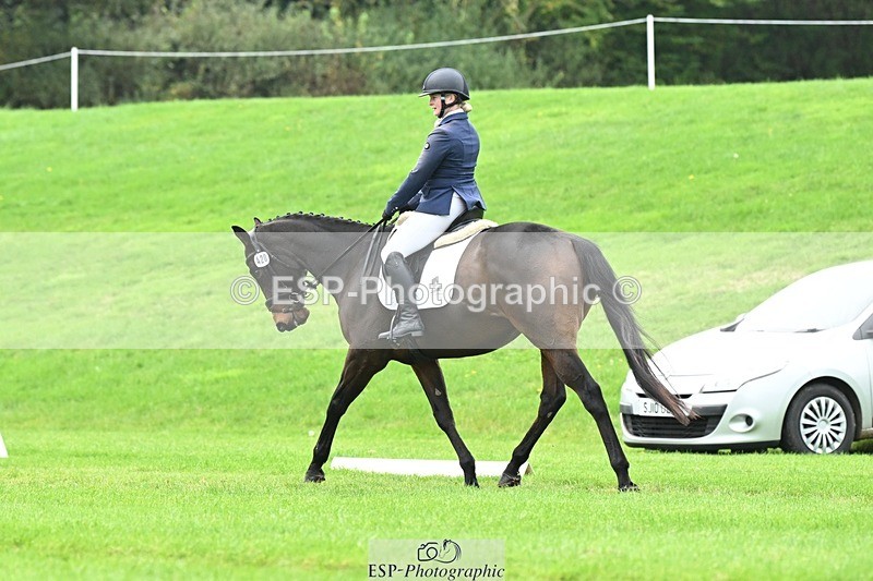 241024-144510-04593 - 420-Pip.Howarth-OTTAVA