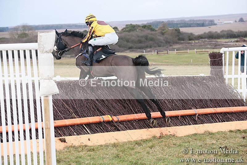 PtP 230119 185 - Royal Artillery Point-to-Point  - Larkhill  - 26/01/19