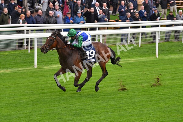 yr07102022r2-17 - Race 2 2.40pm William Hill Autumn Mile