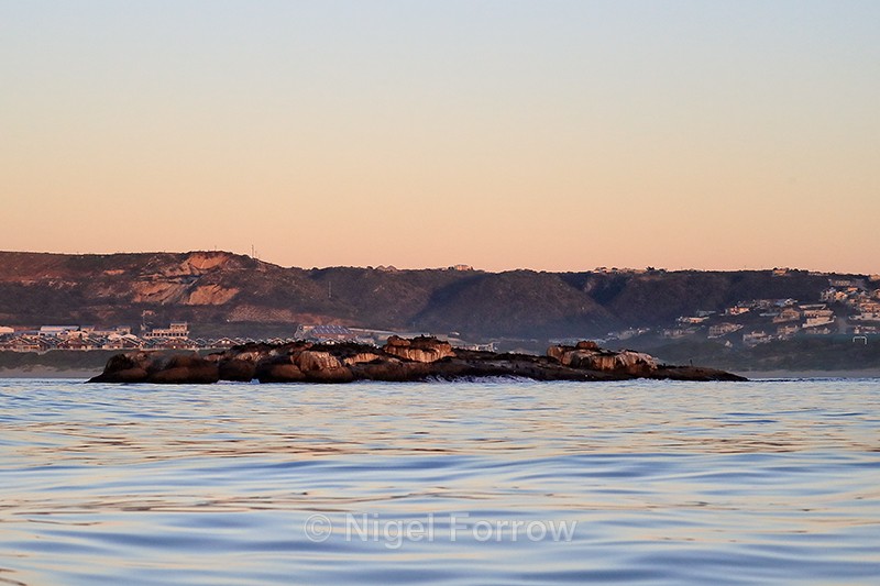 Seal Island dawn, Mossel Bay, South Africa - South Africa