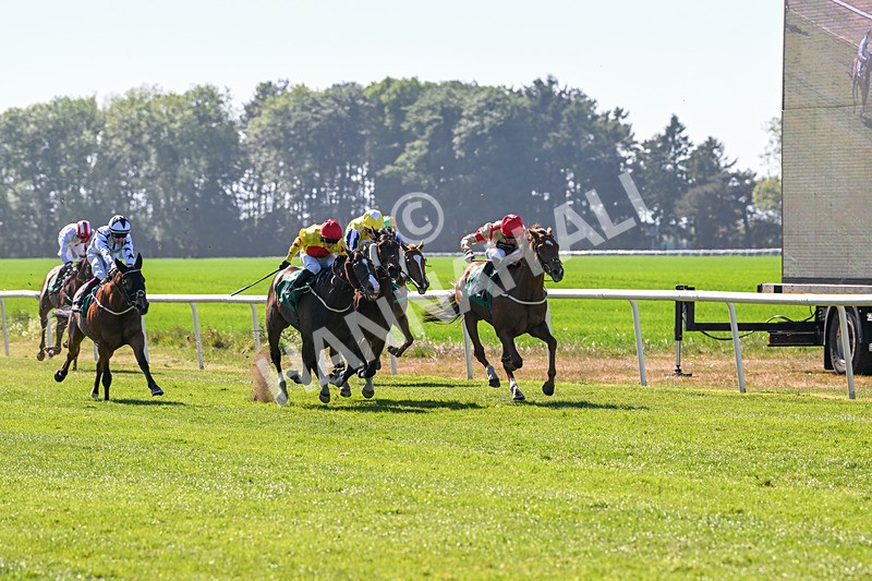 170525-Race 5-Mirsky-8480 - Race 5