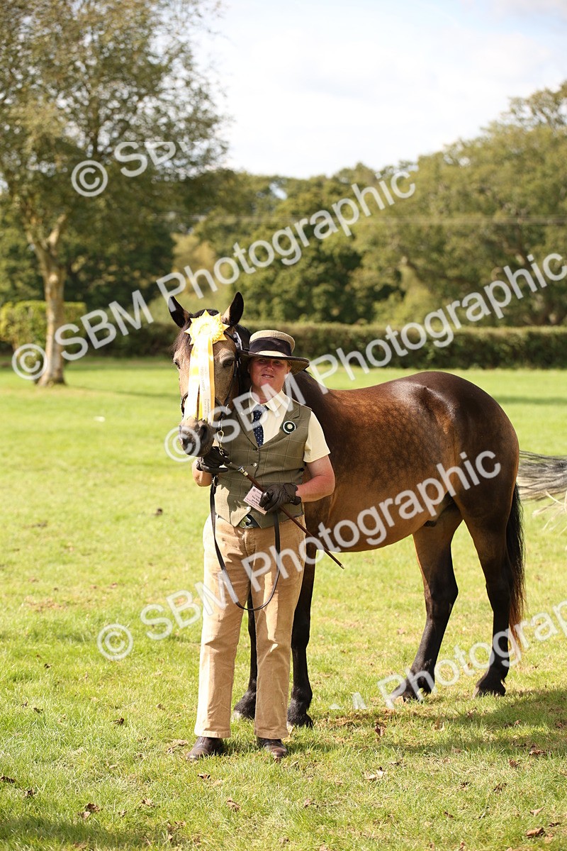 SBM_44524 - S24 - Young Veteran in hand