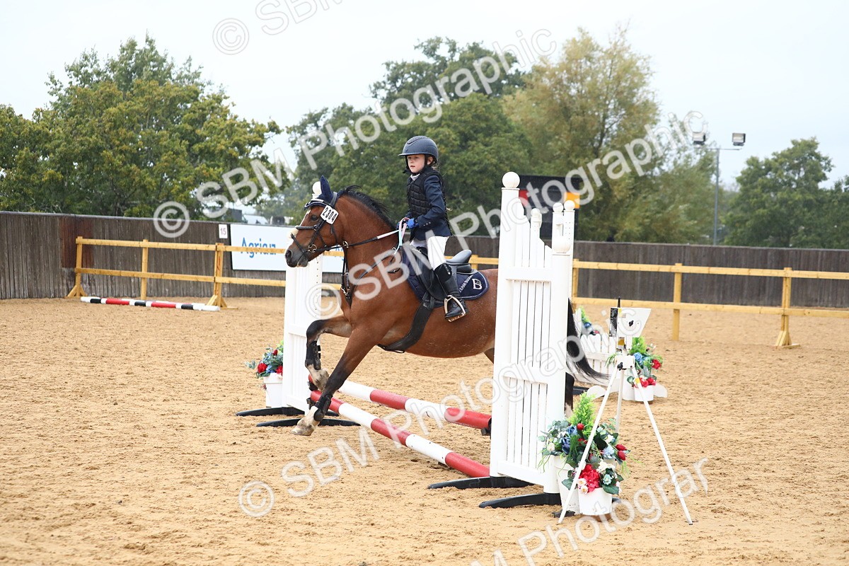 SBM_71638 - J4 - Mini Tour Junior Pony 45cm Championship