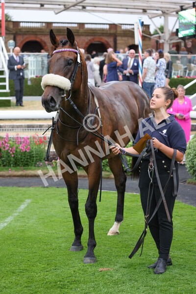 yr22072022r4-63 - Race 4 6.50pm The IRE Incentive It Pays To Buy Irish EBF Restricted Novice Stakes