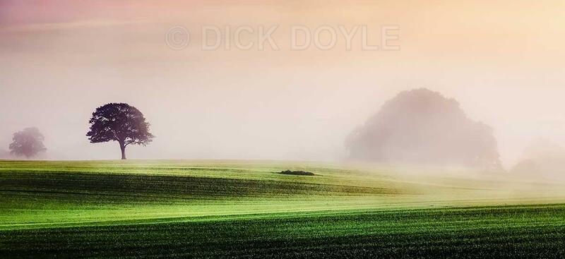 Dawn mist Marlfield Clonmel - TIPPERARY