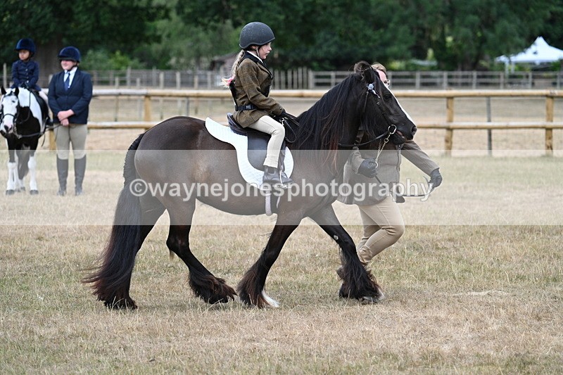 WJ7_6634 - Class 1 Lead Rein Pony
