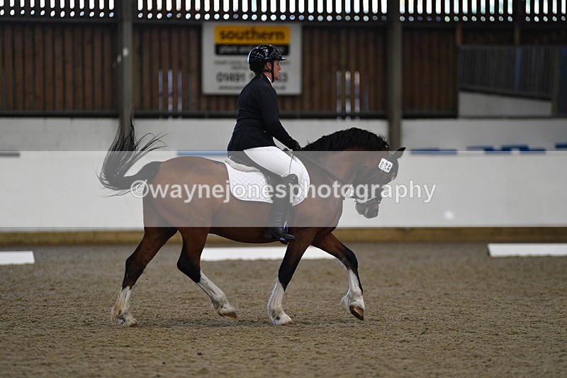 WJ5_7310 - Class 2 Intro Test 2