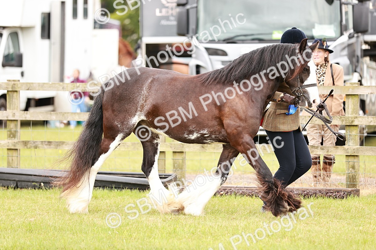 SBM_04735 - Class 5-8 - BSPA In hand
