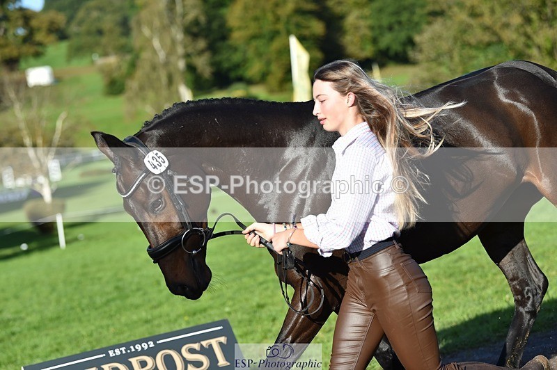 231022-102508-22468 - 435-TIMASSINI-Lana.Bennett-TrotUp+SJ