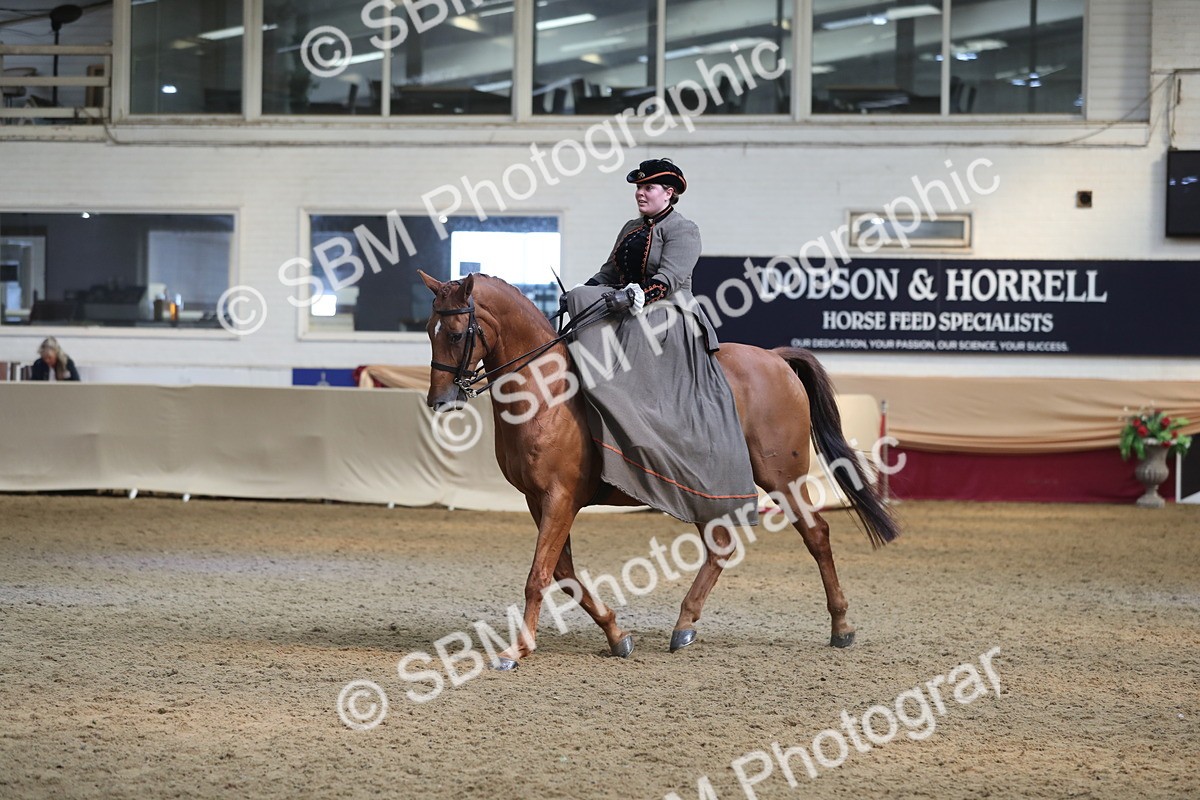 SBM_11573 - Class 105 Ridden Costume- Side Saddle