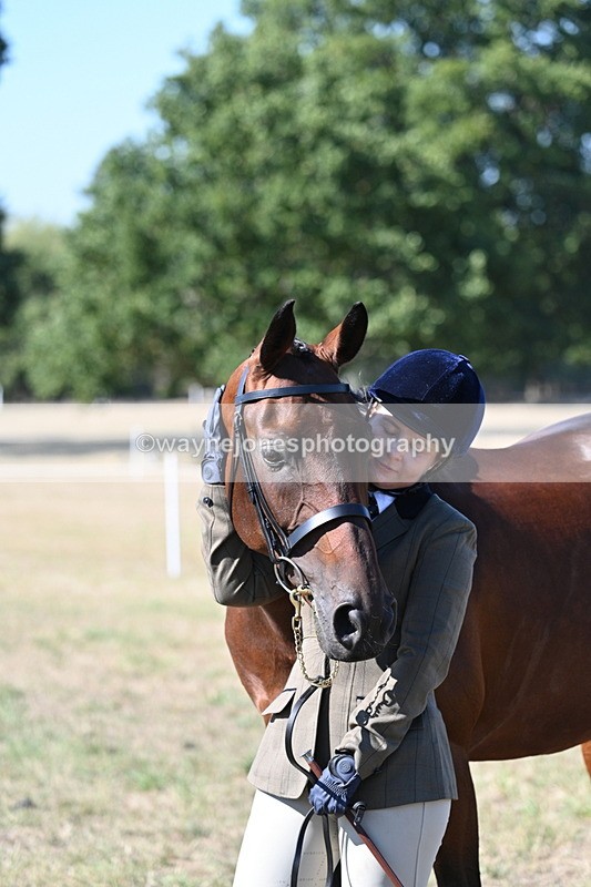 WJ7_1923 - Class 43 Best Six Legs (In hand)