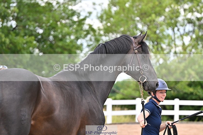 240718A-105309-01629 - Trot Up 1pm to 2pm