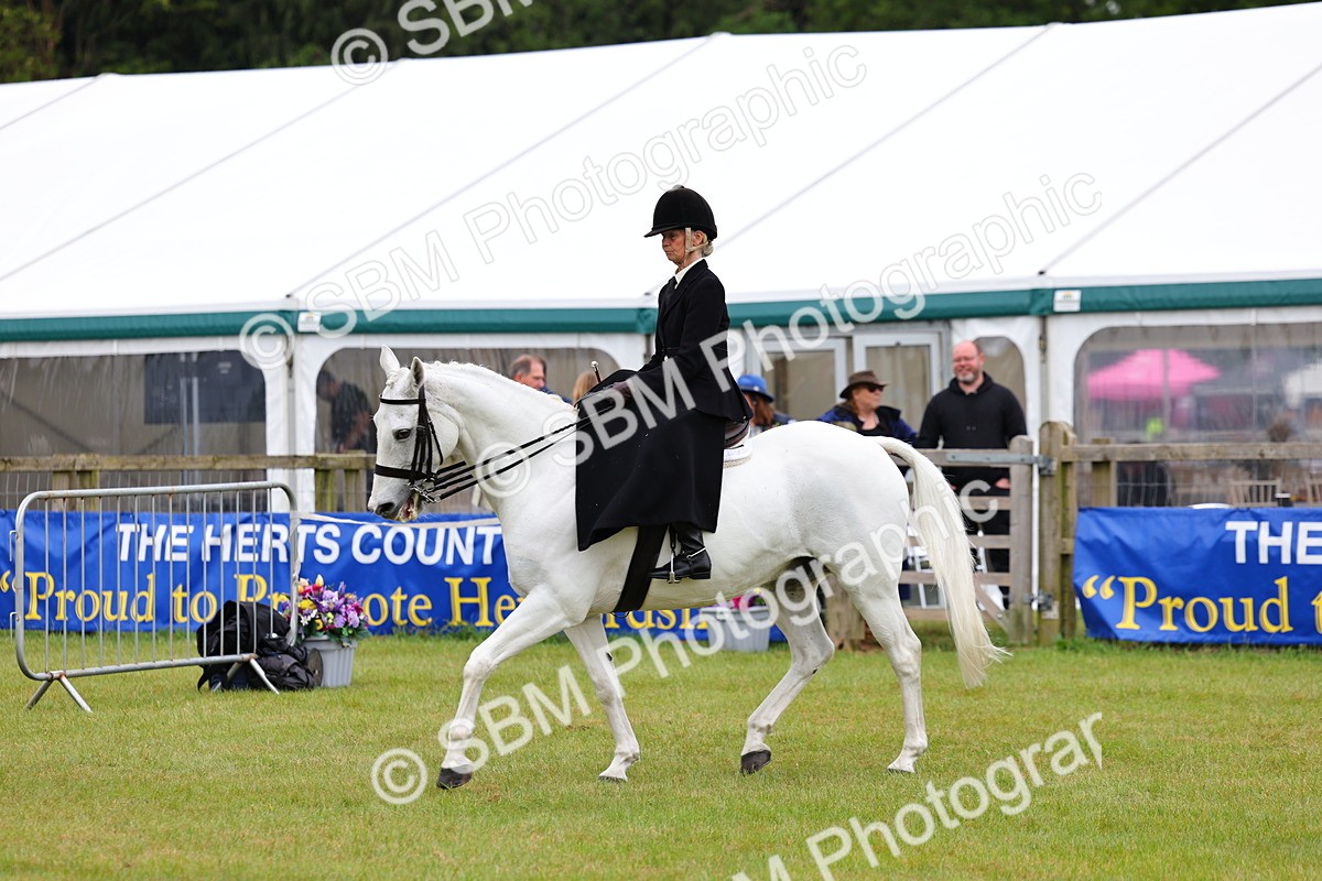 SBM_02944 - Class 9-11 Side Saddle including LIHS Rising Star Ladies Show Horse