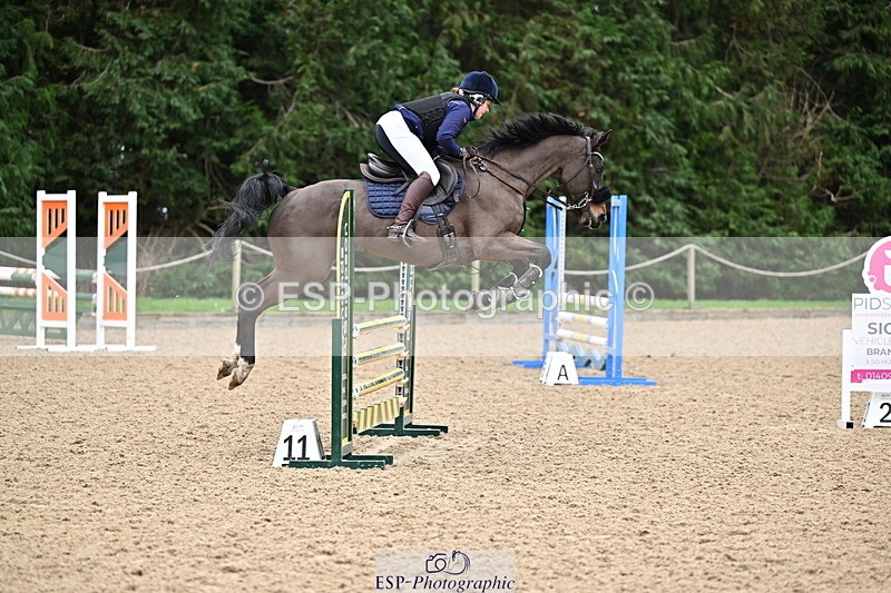 250201A-102941-00239 - Cls 01 Local Horse 90cm