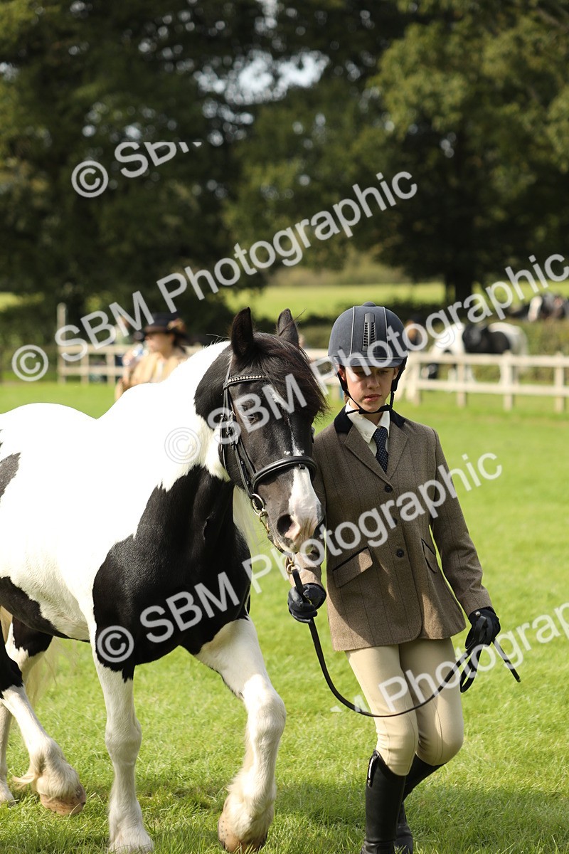 SBM_68697 - S40 - Junior Handler 9-12 Years