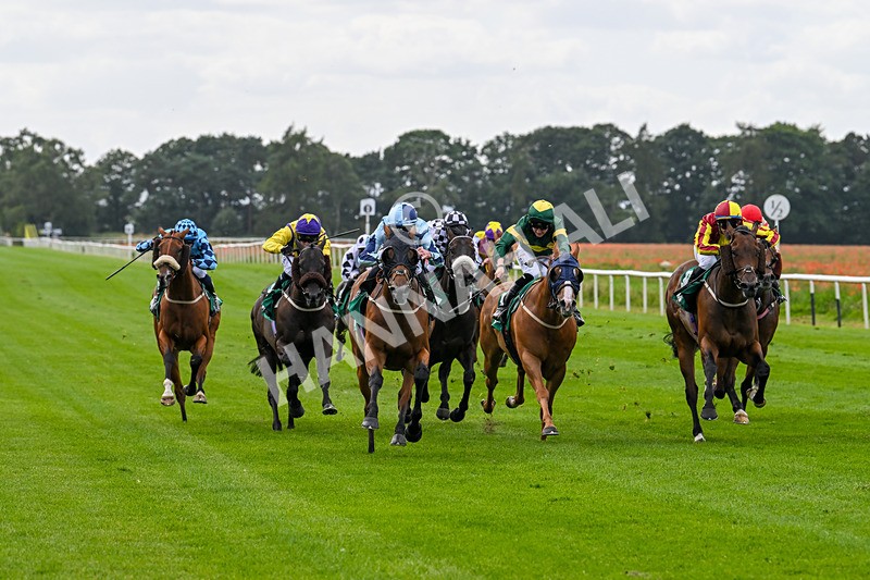 030824-Race 3-Alligator Alley-1652 - Race 3