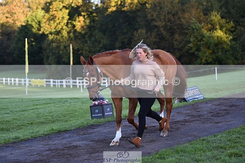 231022-084602-21343 - 625-KILTRA.ALFY-Abi.Meredith-TrotUp+SJ