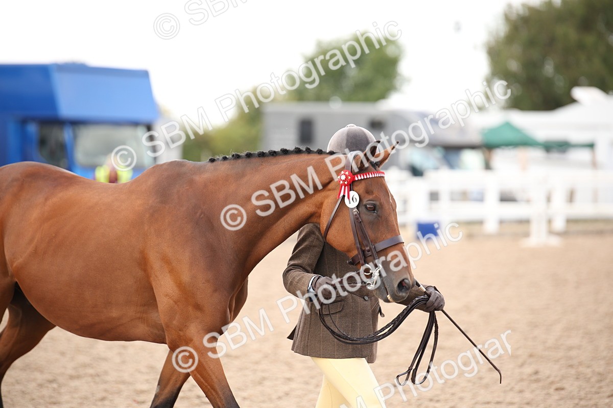 SBM_08230 - Class 27 - IH Competition Horse-Pony